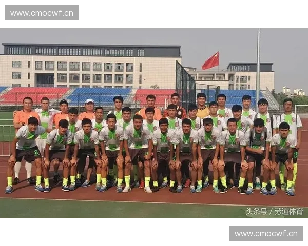 2017中国城市足球联赛积分榜分析与各队表现综合评估